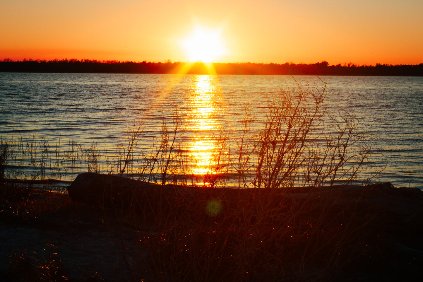 Carolina Sunset Print