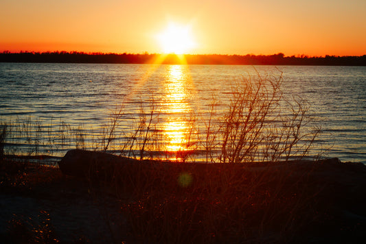 Carolina Sunset Print